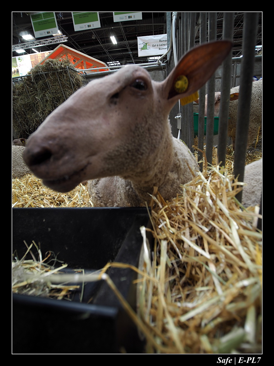 2020 - 02 - Salon agriculture 46